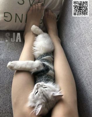 孤舟在线观看全集免费播放