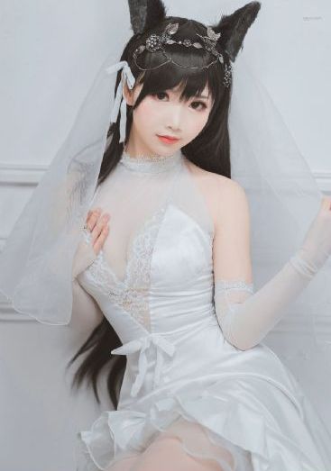 成全免费高清观看在线电视