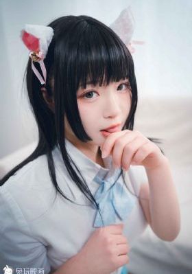 二炮手电视剧全集免费