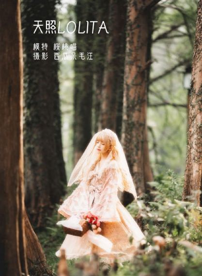 黑吃黑第二季