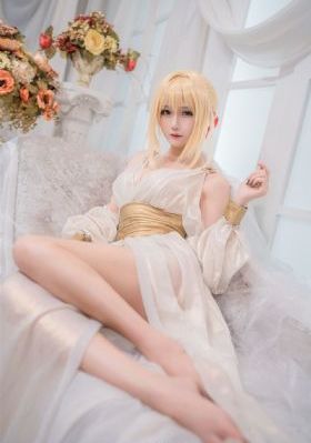 菜鸟总动员